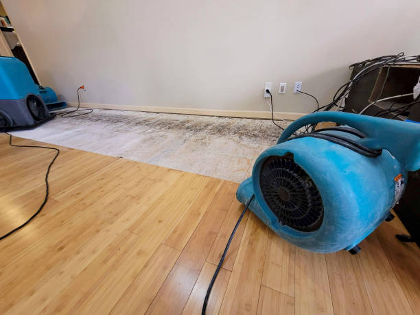Professional Basement Flood Cleanup technician working in Oneida, WI